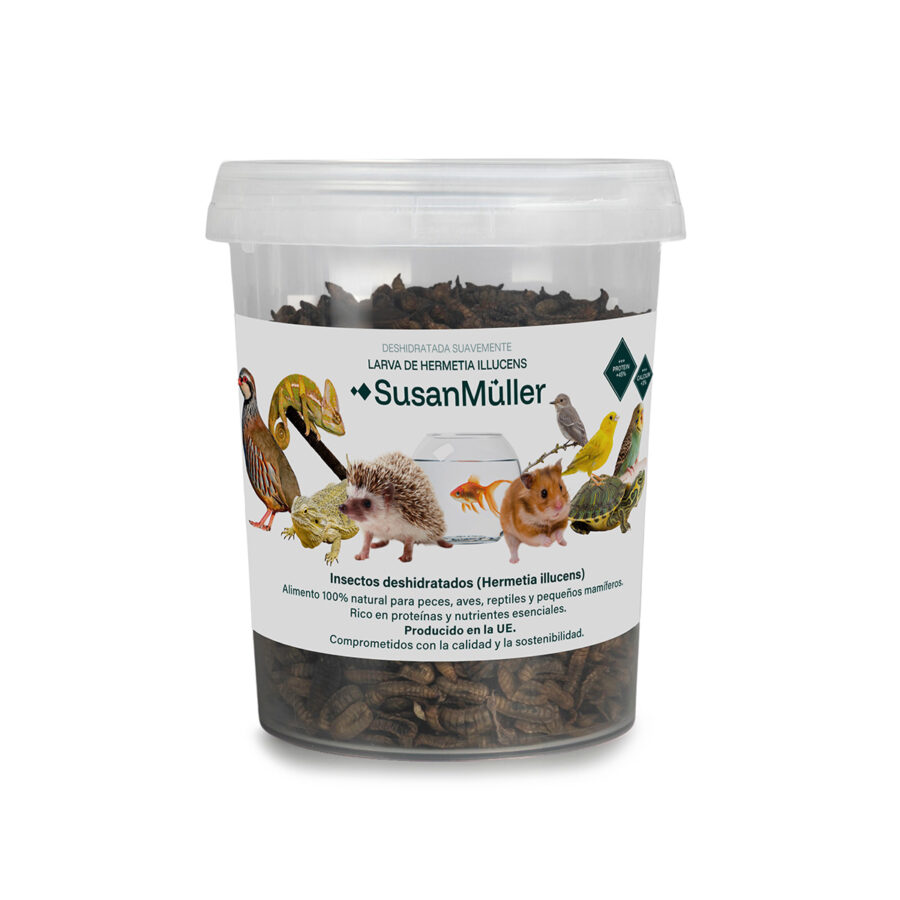 Larva de Hermetia Illucens - Bote