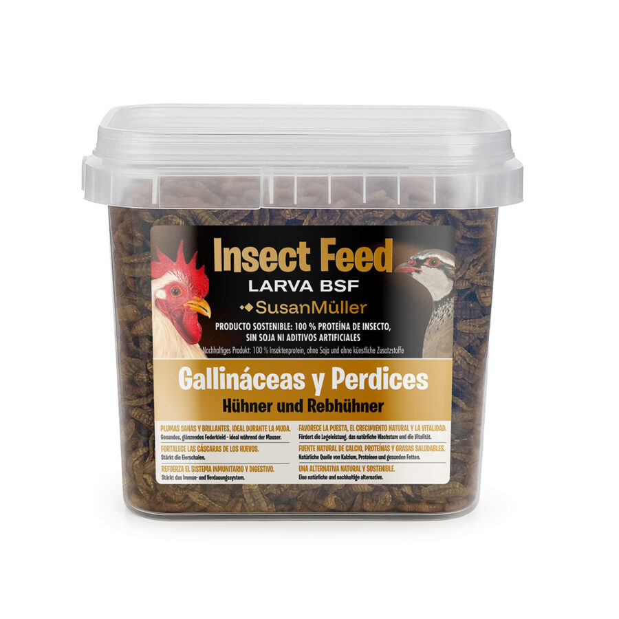Larva BSF para gallináceas