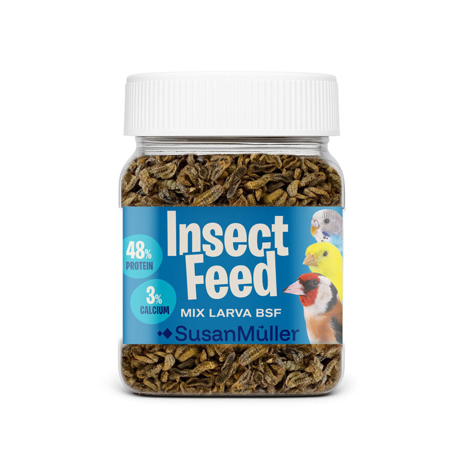 Larva Mini BSF para pájaros