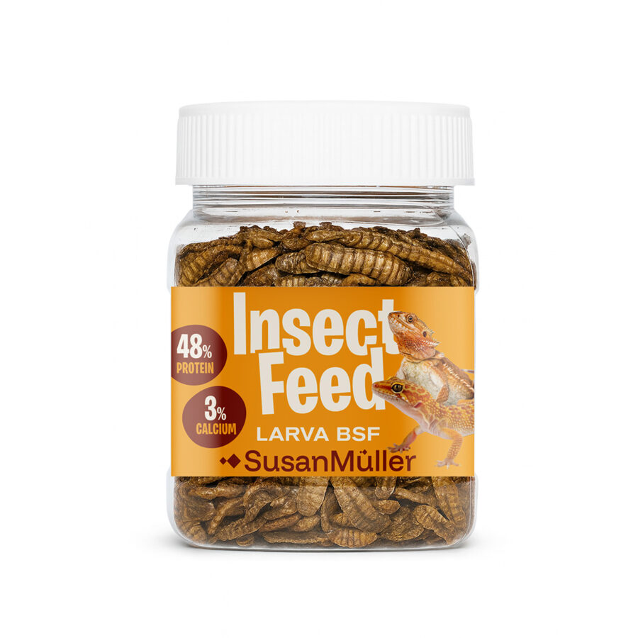 Larva BSF para Reptiles